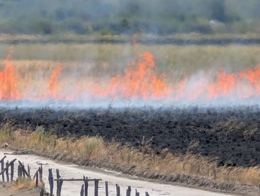 Отново пожар на солниците в Бургас,  огънят стигна до резервата „Атанасовско езеро“ (ОБНОВЕНА)