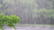 Обявиха оранжев код за валежи в три общини в Бургаско