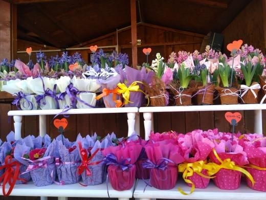 Навръх 8 март: Откраднаха цветя за близо 1000 евро в Несебър