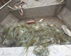 Акция на ИАРА: 600 метра бракониерски мрежи и 65 кг риба открити в езерото „Вая“