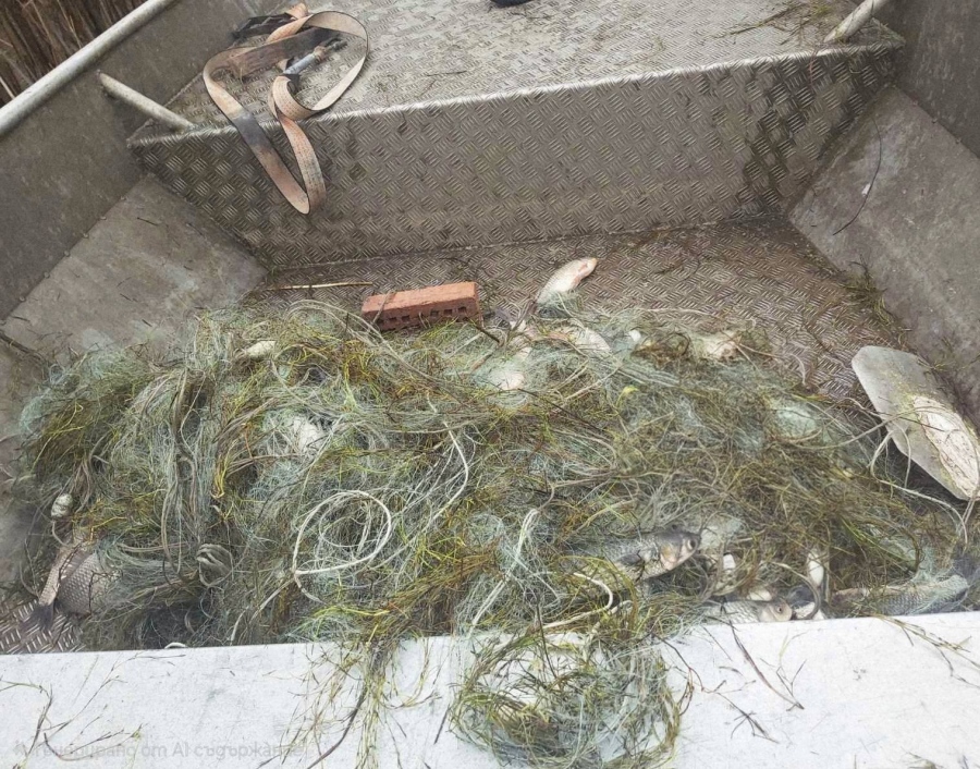 Акция на ИАРА: 600 метра бракониерски мрежи и 65 кг риба открити в езерото „Вая“